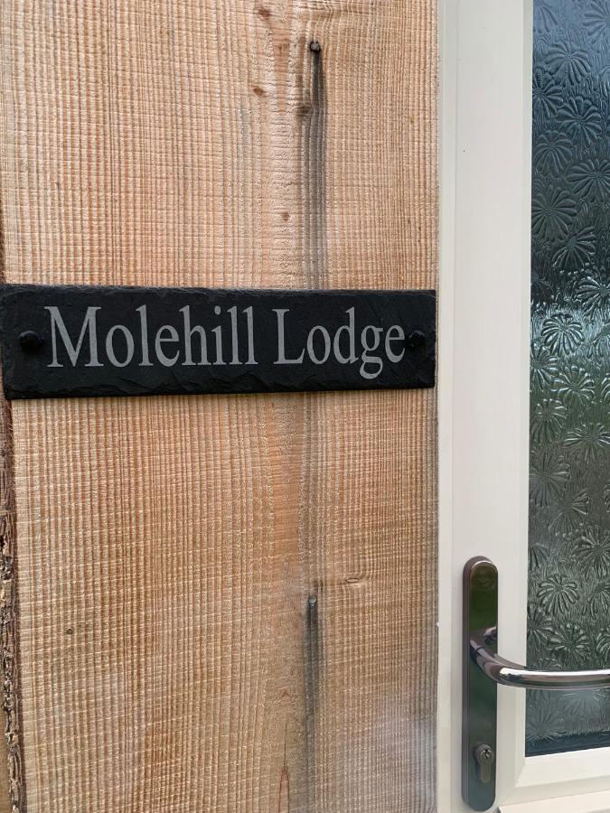 Molehill Lodge สวอนซี ภายนอก รูปภาพ